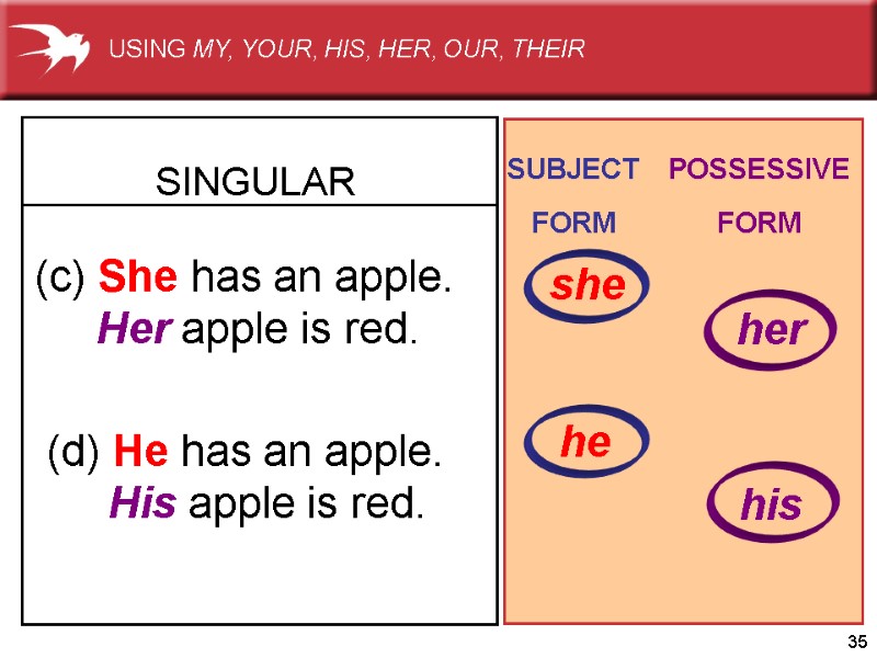 35 (c) She has an apple.      Her apple is